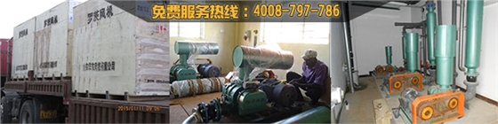 【環(huán)?！可綎|曝氣風(fēng)機(jī)廠家哪家好？