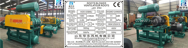 å¯†é›†ç¾…èŒ¨é¢¨(fÄ“ng)æ©Ÿ(jÄ«)