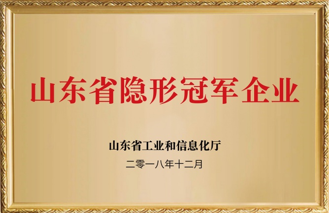 山東隱形冠軍企業(yè)