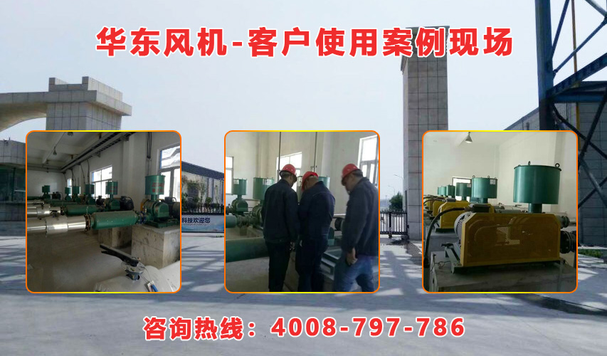 華東內(nèi)蒙古羅茨風(fēng)機(jī)案例-內(nèi)蒙古**生物環(huán)?？萍加邢挢?zé)任公司